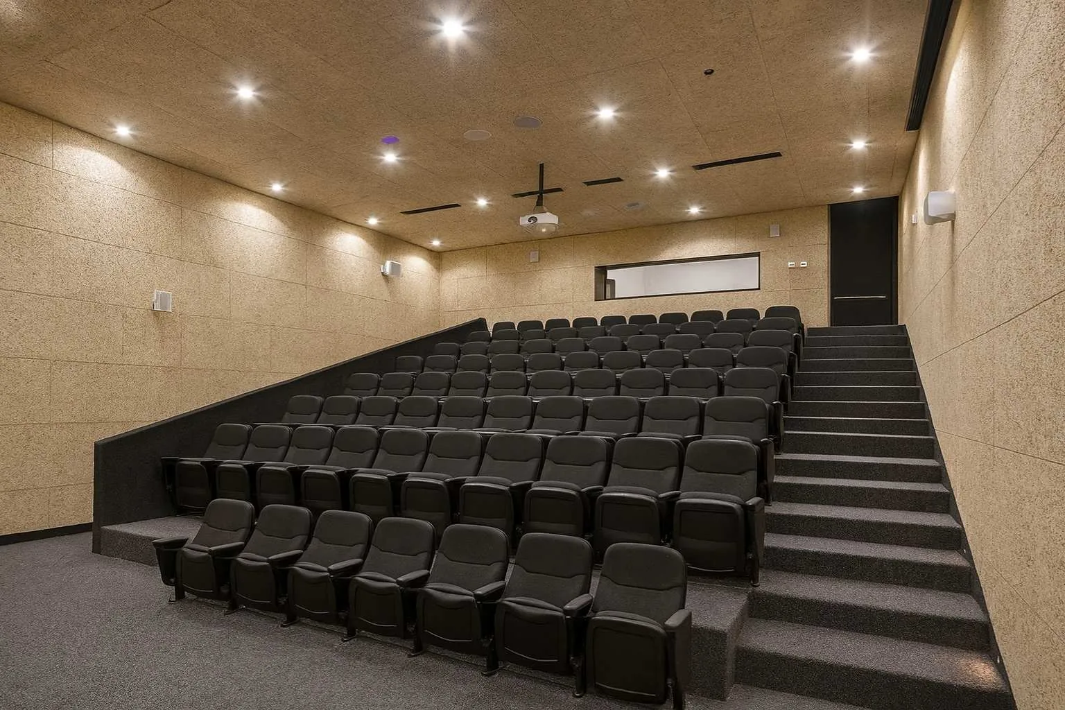 Hybrid wood wool acoustic assemblies